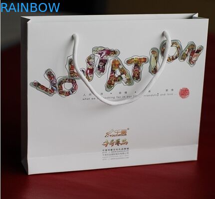 Ecofriendly হ্যান্ডেল কাস্টমাইজড কাগজ ব্যাগ লোগো সিলভার সঙ্গে গরম স্ট্যাম্পিং