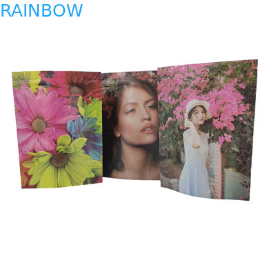 কাস্টমাইজড পিএলএ ফুড প্যাকেজিং ব্যাগ প্লাস্টিকের জিপ লক অ্যালুমিনিয়াম ফয়েল ব্যাগ